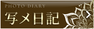 写メ日記
