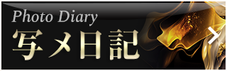 写メ日記